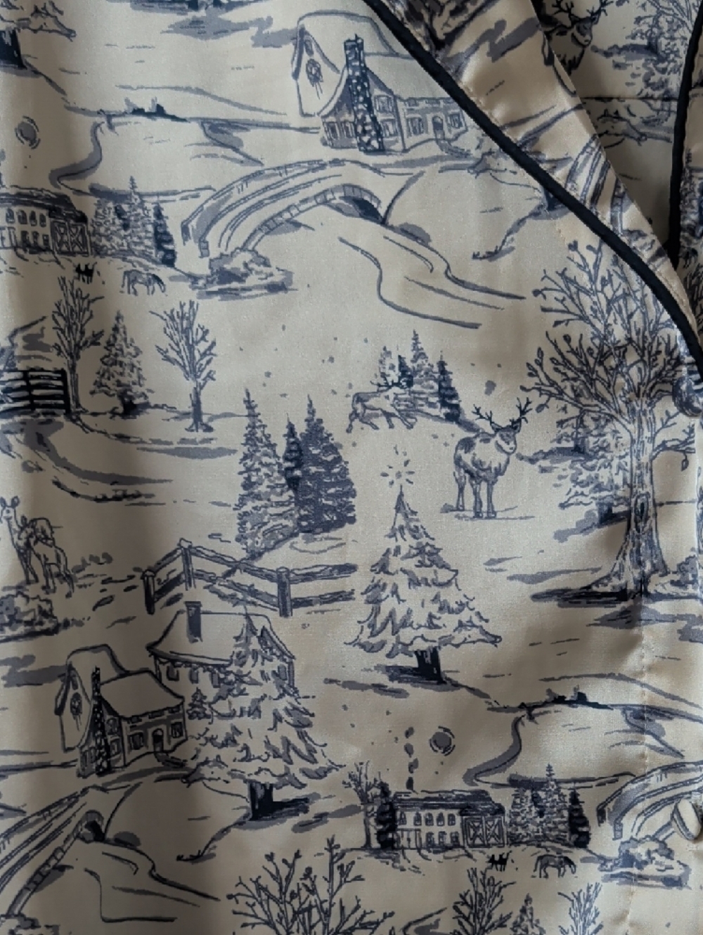 Abercrombie & Fitch Blue and Cream Toile Sleep Shirt Pajama Set - Picture 4 of 16